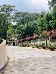 Le Wood (D21), Condominium #500930551